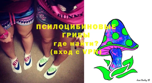 a pvp Богородск