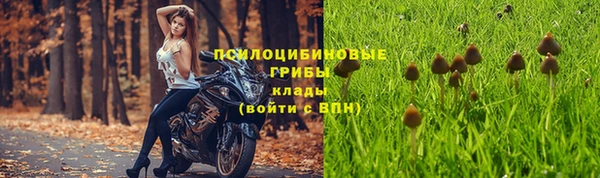 a pvp Богородск